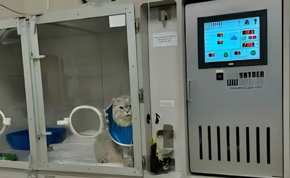 Quiet and Reliable Design for Optimal Recovery