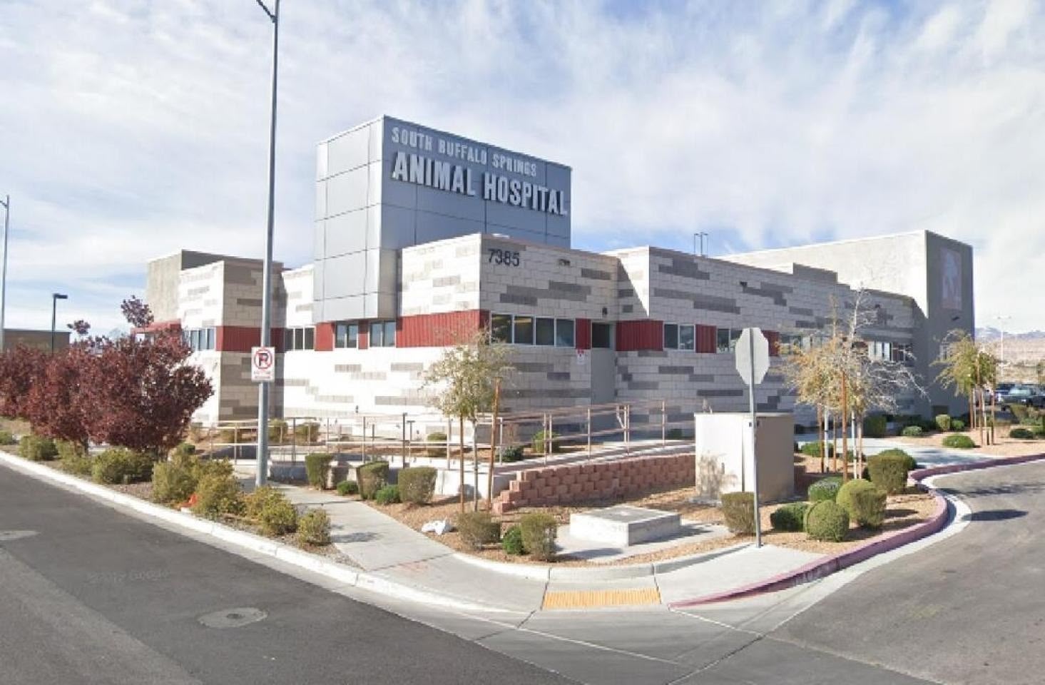 South Buffalo Springs Animal Hospital