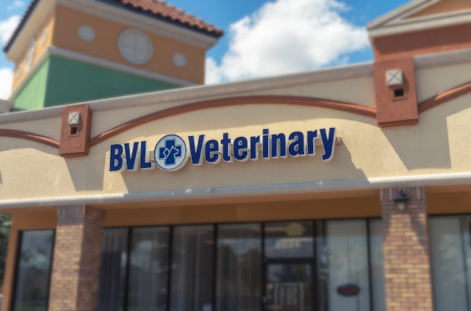 BVL Veterinary Hospital