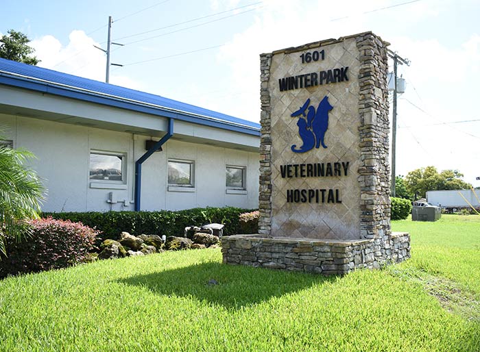 Winter Park Veterinary Hospital