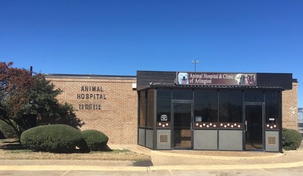 Animal Hospital and Clinic of Arlington