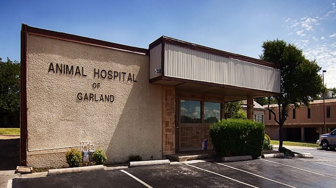 Animal Hospital of Garland