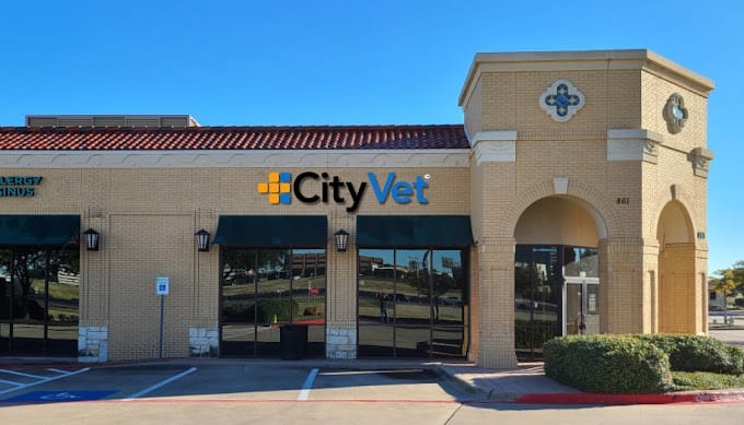 CityVet Las Colinas