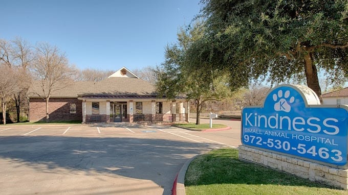 Kindness Small Animal Hospital