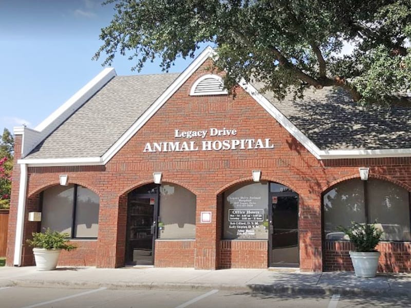 Legacy Drive Animal Hospital