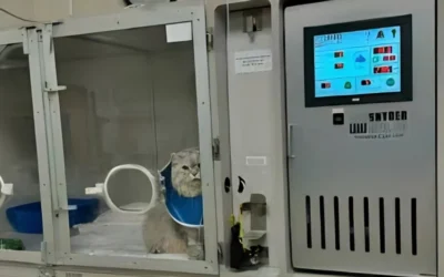 VCA Baring Boulevard Animal Hospital Enhances Efficiency and Patient Care with Airnetic A-20 Oxygen Generator