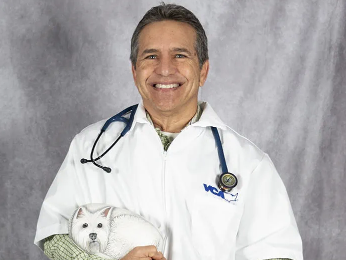Airnetic_Veterinary_Oxygen_Generators_veterinary_clinic_technology