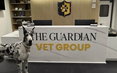 From Design to Install: How Airnetic Delivered for Guardian Vet Group