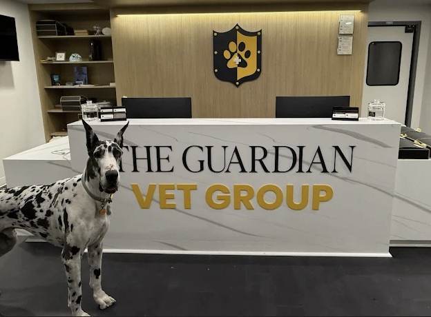 From Design to Install: How Airnetic Delivered for Guardian Vet Group